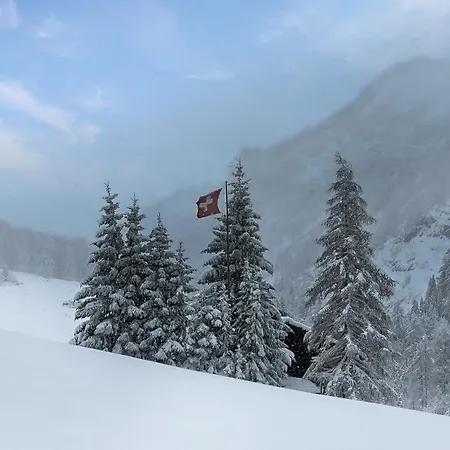 Le Basset - Keys To Paradise In The Alps