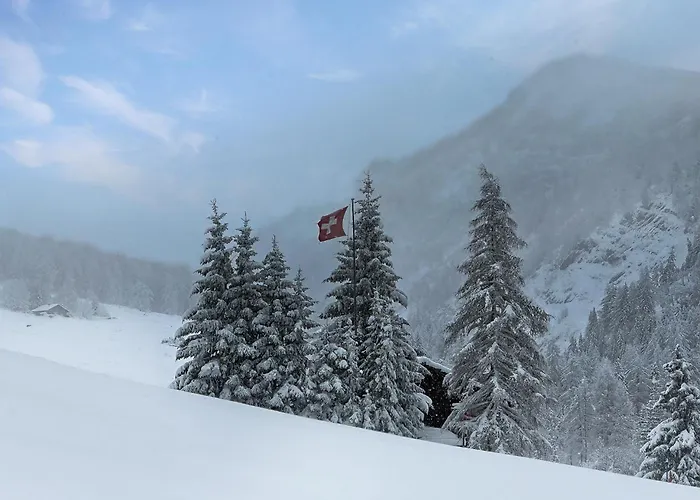 Le Basset - Keys To Paradise In The Alps