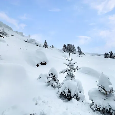 Alpstuga Le Basset - Keys To Paradise In The Alps La Fouly